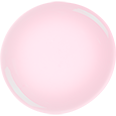 313(S)Transparent Beauty